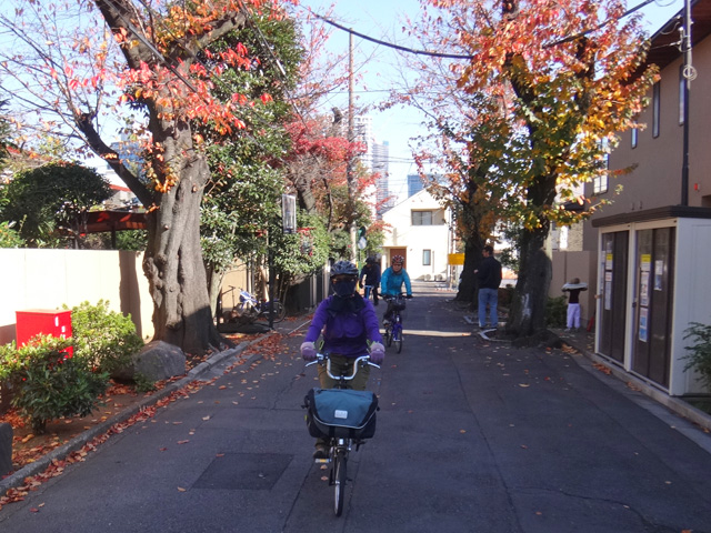 徳川ビレッジ付近