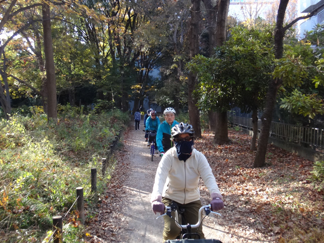 戸山公園を行く