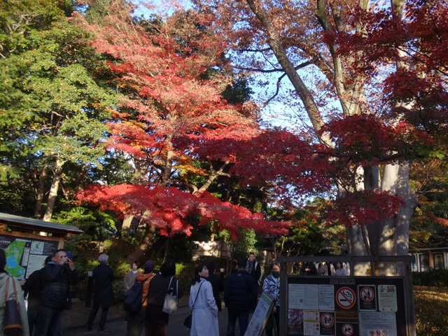 小石川後楽園入口