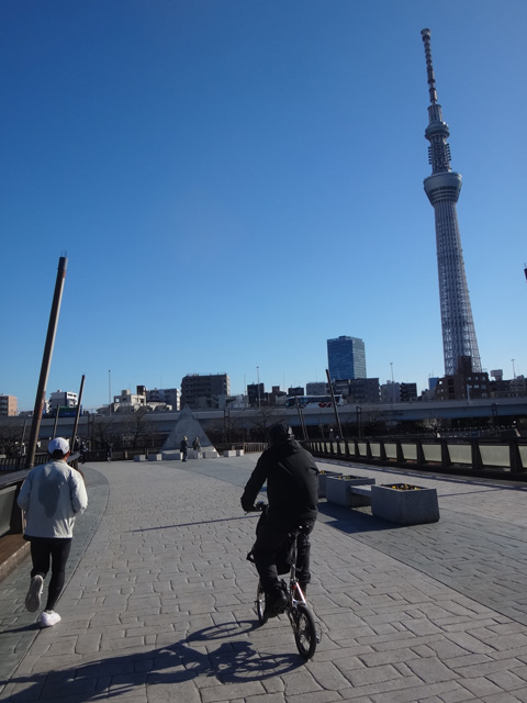 桜橋から東京スカイツリーを望む