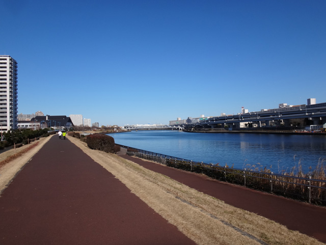 石浜神社付近より隅田川上流を望む