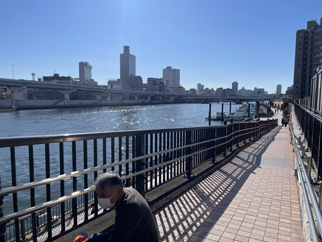 厩橋から隅田川下流を望む