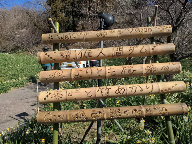 『よりとも桜と竹あかり』