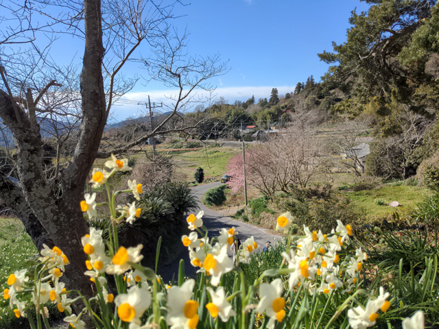八雲神社からやってきた道を見下ろす