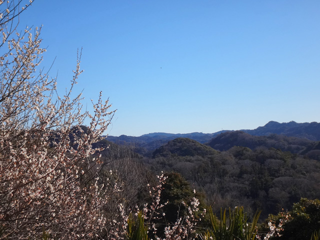 どこまでも連なる房総の山