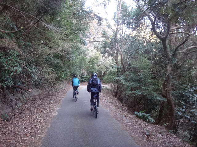 愛宕山ピーク付近