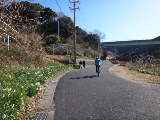 江月水仙ロード