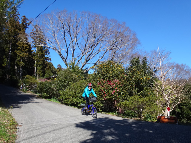 江月山頂からの下り