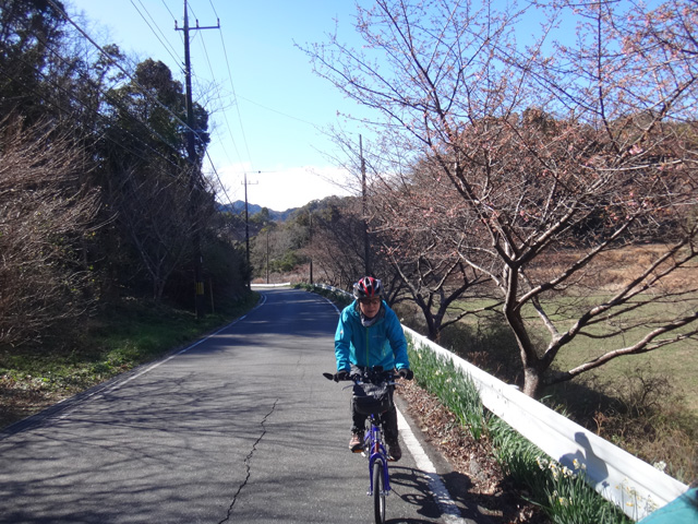 佐久間ダムへの上り