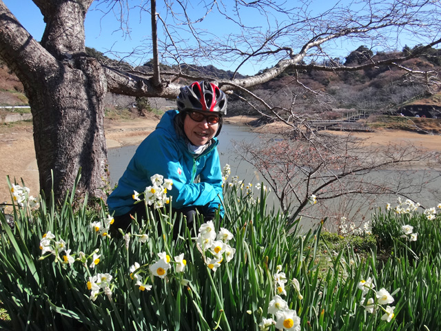 佐久間ダム湖畔の水仙とサリーナ