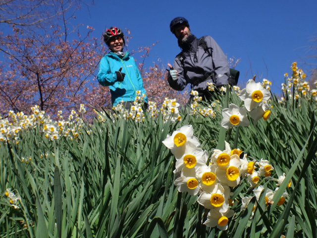 『よりとも桜と竹あかり』会場のサリーナとコテッチャン