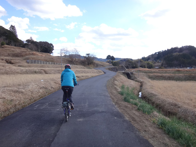 平塚の田んぼを行く