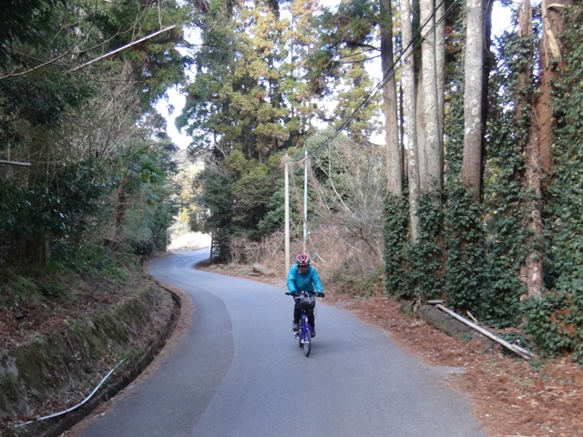 大山千枚田から二ツ山へ
