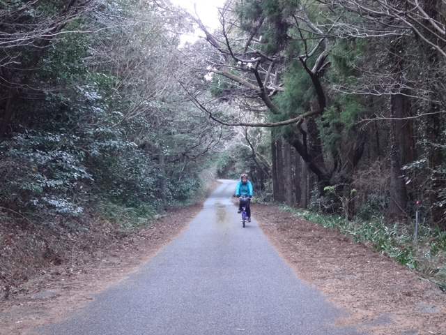 愛宕山からの下り