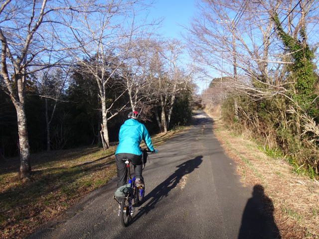 尾根道の林道嶺岡中央２号線