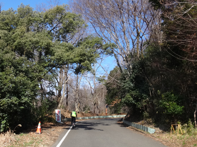 ダッシュするシュンシュン