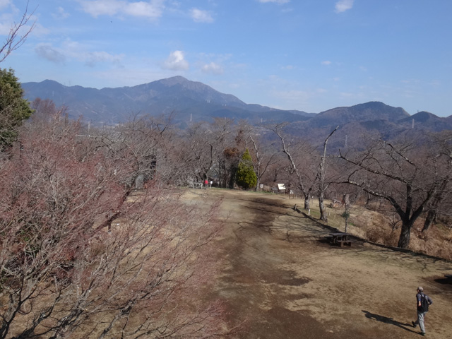 展望台より大山を望む