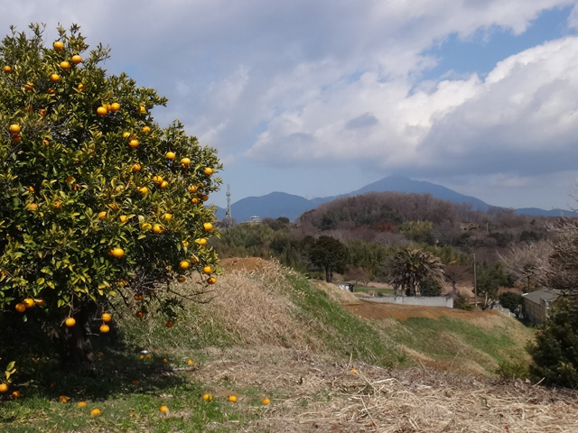 八幡神社上の丘から大山を望む