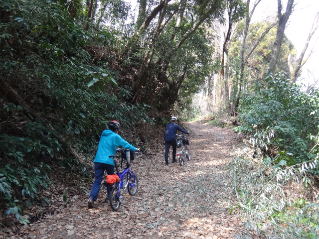 落ち葉積もる急坂