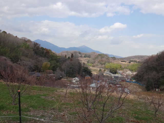 篠窪から見る大山