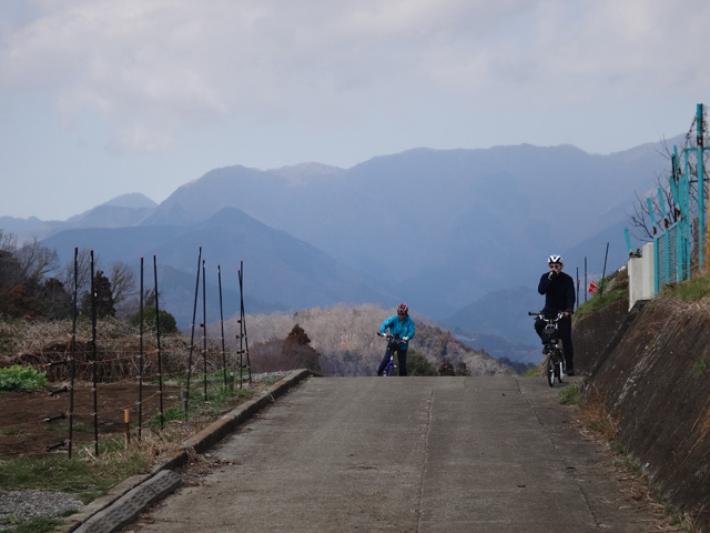 篠窪配水池から見る丹沢山地