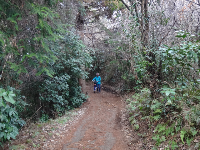 荒れた路面を行くサリーナ