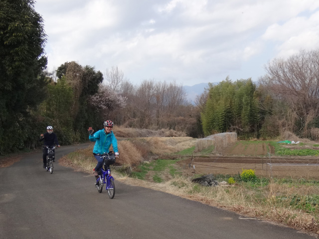 丘陵地の林と畑