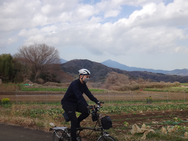 赤田付近から見た大山