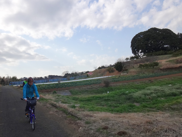 『だいじんごさん』が宿る椎木