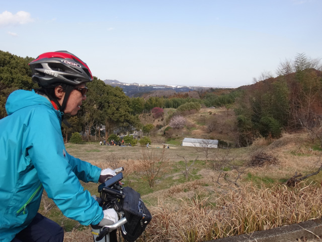 下に稲久保の集落の末端