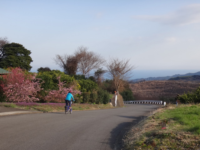 一本榎から相模湾へ下る