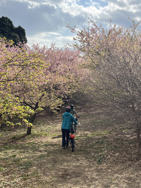 おおいゆめの里記念植樹エリア