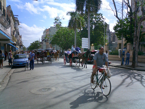 馬車と自転車が通る広い道