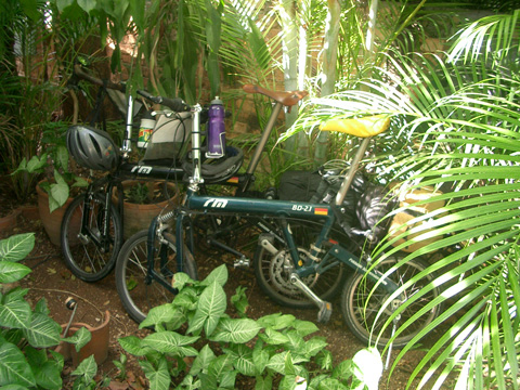 中庭の自転車