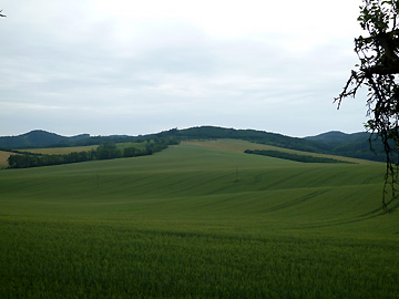 麦畑から続くシュィビィの丘