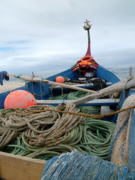 漁船の積み荷