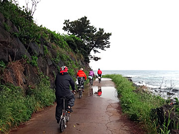 海辺の自転車道