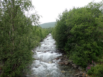 レスヤスコーグの川滝
