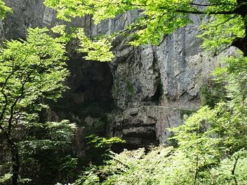 ヴェリカ・ドリーナの岩壁と緑