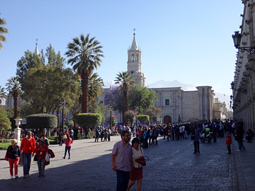 アルマス広場とカテドラル