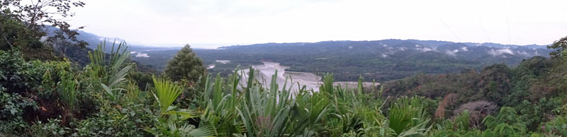 ジャングルとマドレ・デ・ディオス川