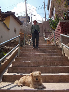 階段の犬とサイダー
