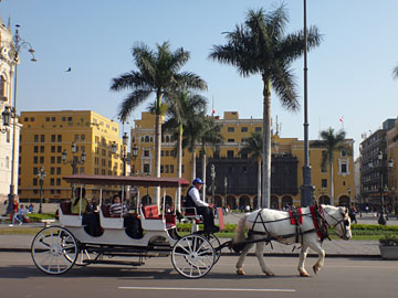 アルマス広場の馬車