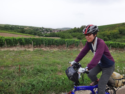 葡萄畑の中を上るサリーナ