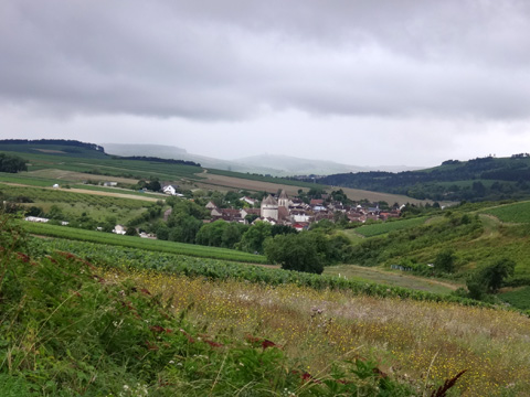 シトリーを見下ろす