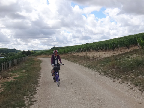 ベーヌからシャブリへ向かうサリーナ