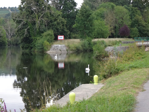 バイイの75番閘門付近の白鳥