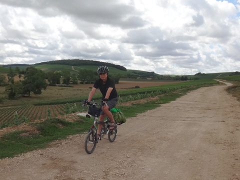 地道を行くサイダー