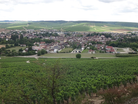 シャブリ中心部