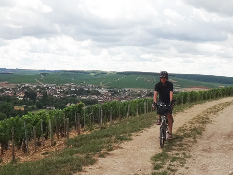 グラン・クリュ畑を行くサイダー